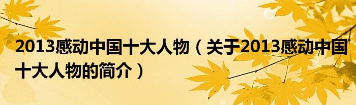 2013感動(dòng)中國(guó)十大人物（關(guān)于2013感動(dòng)中國(guó)十大人物的簡(jiǎn)介）