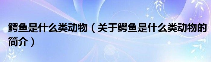 鱷魚是什么類動物（關(guān)于鱷魚是什么類動物的簡介）