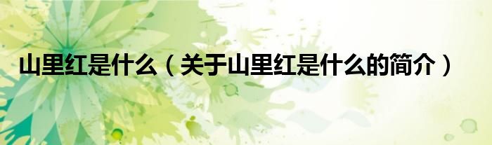 山里紅是什么（關(guān)于山里紅是什么的簡(jiǎn)介）