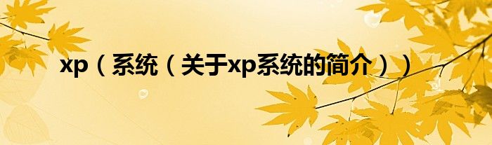 xp（系統(tǒng)（關(guān)于xp系統(tǒng)的簡(jiǎn)介））