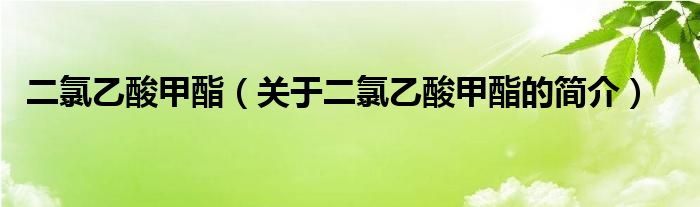 二氯乙酸甲酯（關(guān)于二氯乙酸甲酯的簡(jiǎn)介）