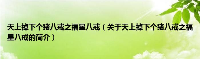 天上掉下個(gè)豬八戒之福星八戒（關(guān)于天上掉下個(gè)豬八戒之福星八戒的簡(jiǎn)介）