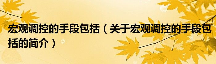 宏觀調(diào)控的手段包括（關(guān)于宏觀調(diào)控的手段包括的簡介）