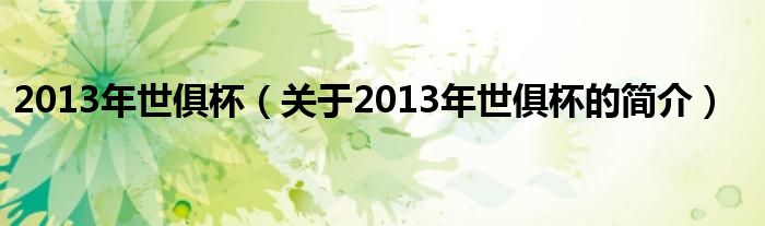 2013年世俱杯（關(guān)于2013年世俱杯的簡(jiǎn)介）