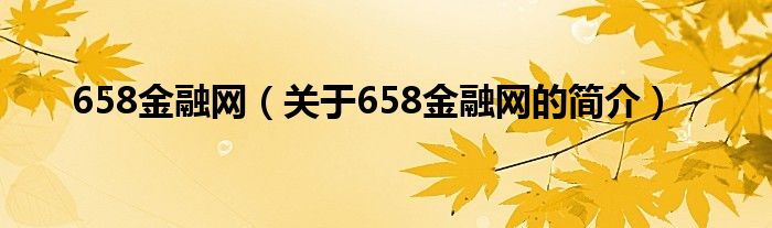 658金融網(wǎng)（關(guān)于658金融網(wǎng)的簡(jiǎn)介）