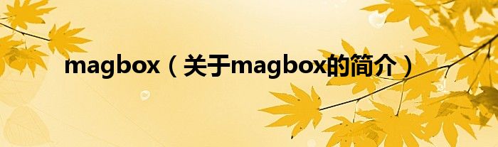 magbox（關(guān)于magbox的簡(jiǎn)介）