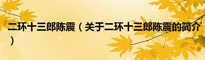 二環(huán)十三郎陳震（關于二環(huán)十三郎陳震的簡介）