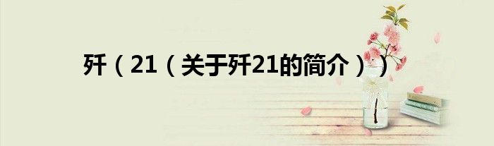 殲（21（關(guān)于殲21的簡介））