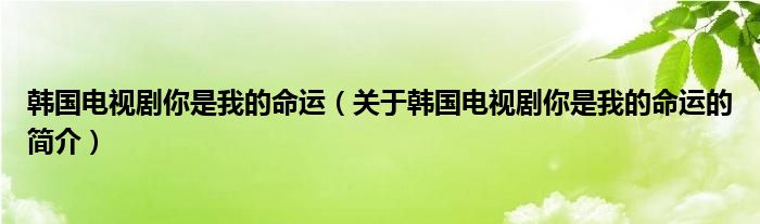 韓國(guó)電視劇你是我的命運(yùn)（關(guān)于韓國(guó)電視劇你是我的命運(yùn)的簡(jiǎn)介）