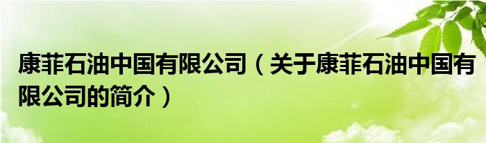 康菲石油中國有限公司（關(guān)于康菲石油中國有限公司的簡介）