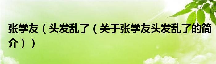 張學(xué)友（頭發(fā)亂了（關(guān)于張學(xué)友頭發(fā)亂了的簡介））