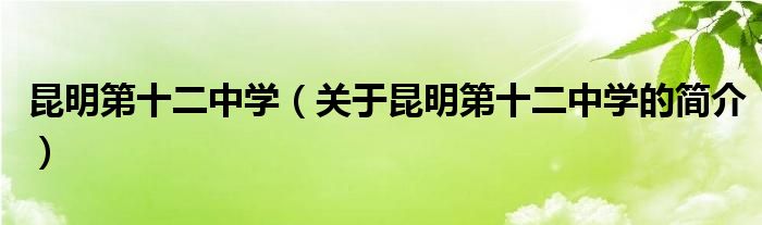 昆明第十二中學(xué)（關(guān)于昆明第十二中學(xué)的簡(jiǎn)介）