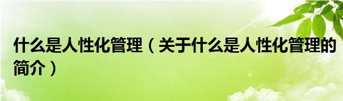 什么是人性化管理（關(guān)于什么是人性化管理的簡介）