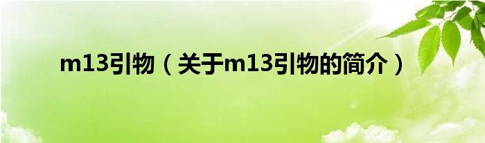 m13引物（關于m13引物的簡介）