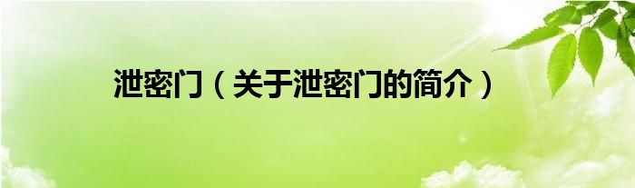 泄密門（關(guān)于泄密門的簡(jiǎn)介）