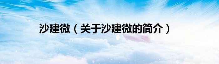 沙建微（關(guān)于沙建微的簡(jiǎn)介）