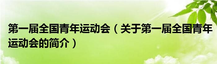 第一屆全國青年運動會（關(guān)于第一屆全國青年運動會的簡介）