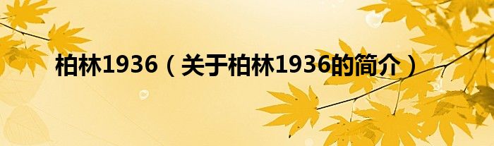 柏林1936（關于柏林1936的簡介）