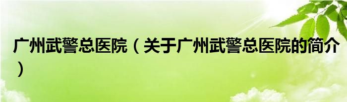 廣州武警總醫(yī)院（關(guān)于廣州武警總醫(yī)院的簡(jiǎn)介）