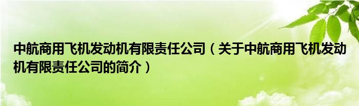 中航商用飛機(jī)發(fā)動(dòng)機(jī)有限責(zé)任公司（關(guān)于中航商用飛機(jī)發(fā)動(dòng)機(jī)有限責(zé)任公司的簡(jiǎn)介）