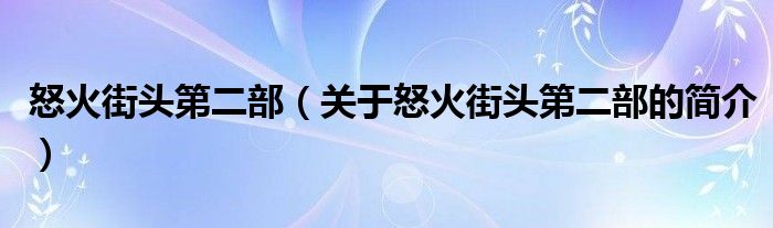 怒火街頭第二部（關(guān)于怒火街頭第二部的簡(jiǎn)介）