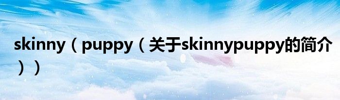 skinny（puppy（關(guān)于skinnypuppy的簡介））