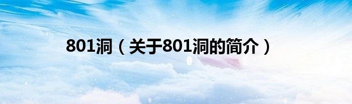 801洞（關(guān)于801洞的簡介）