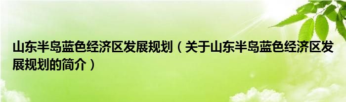 山東半島藍(lán)色經(jīng)濟(jì)區(qū)發(fā)展規(guī)劃（關(guān)于山東半島藍(lán)色經(jīng)濟(jì)區(qū)發(fā)展規(guī)劃的簡介）