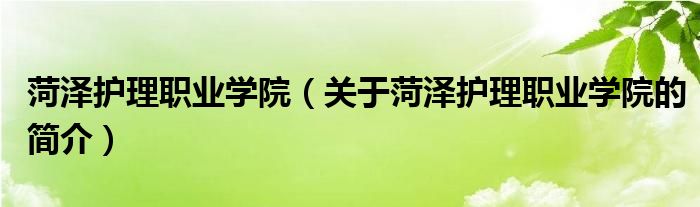 菏澤護理職業(yè)學院（關于菏澤護理職業(yè)學院的簡介）