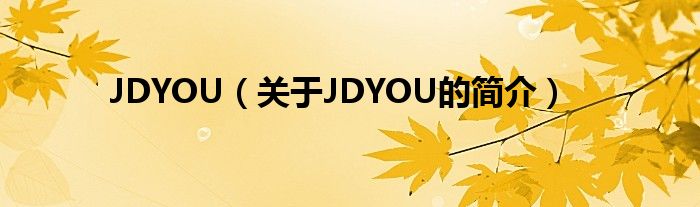 JDYOU（關(guān)于JDYOU的簡介）