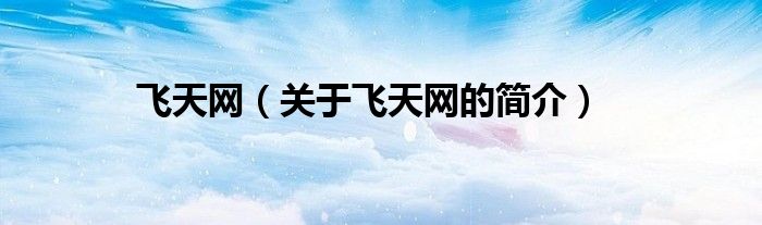 飛天網(wǎng)（關(guān)于飛天網(wǎng)的簡(jiǎn)介）