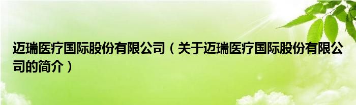 邁瑞醫(yī)療國際股份有限公司（關(guān)于邁瑞醫(yī)療國際股份有限公司的簡介）