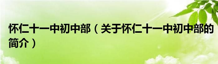 懷仁十一中初中部（關(guān)于懷仁十一中初中部的簡(jiǎn)介）