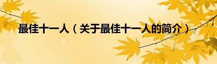 最佳十一人（關(guān)于最佳十一人的簡(jiǎn)介）