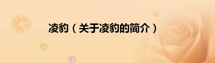 凌豹（關(guān)于凌豹的簡(jiǎn)介）