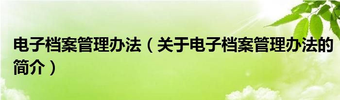 電子檔案管理辦法（關(guān)于電子檔案管理辦法的簡(jiǎn)介）