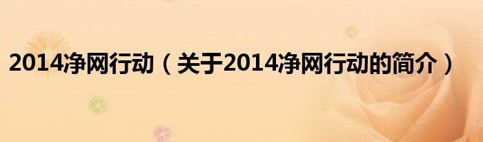 2014凈網(wǎng)行動（關于2014凈網(wǎng)行動的簡介）