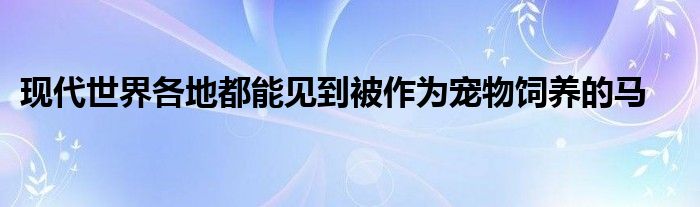 現(xiàn)代世界各地都能見(jiàn)到被作為寵物飼養(yǎng)的馬