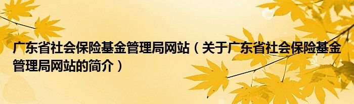 廣東省社會保險基金管理局網(wǎng)站（關(guān)于廣東省社會保險基金管理局網(wǎng)站的簡介）