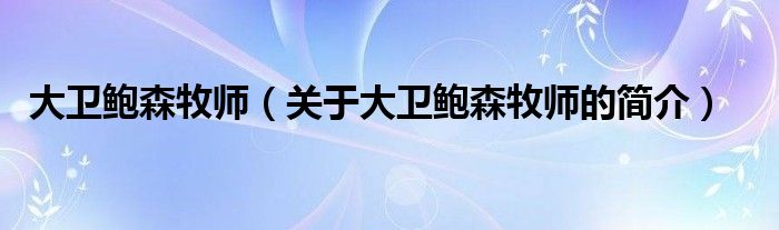 大衛(wèi)鮑森牧師（關(guān)于大衛(wèi)鮑森牧師的簡介）