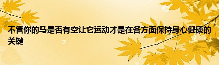 不管你的馬是否有空讓它運動才是在各方面保持身心健康的關鍵