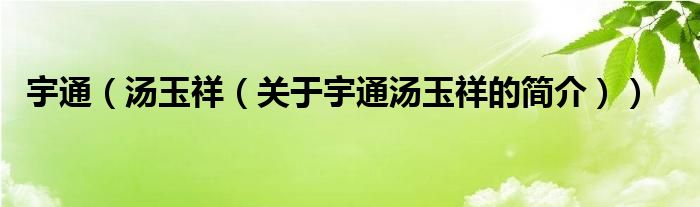 宇通（湯玉祥（關(guān)于宇通湯玉祥的簡(jiǎn)介））