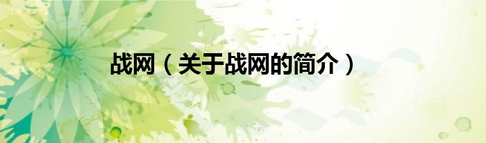 戰(zhàn)網(wǎng)（關(guān)于戰(zhàn)網(wǎng)的簡(jiǎn)介）