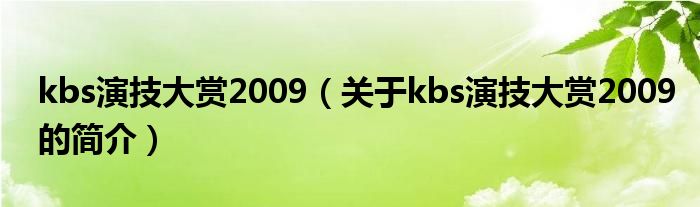 kbs演技大賞2009（關(guān)于kbs演技大賞2009的簡介）