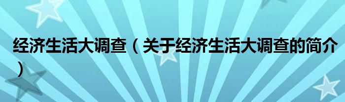 經(jīng)濟(jì)生活大調(diào)查（關(guān)于經(jīng)濟(jì)生活大調(diào)查的簡(jiǎn)介）