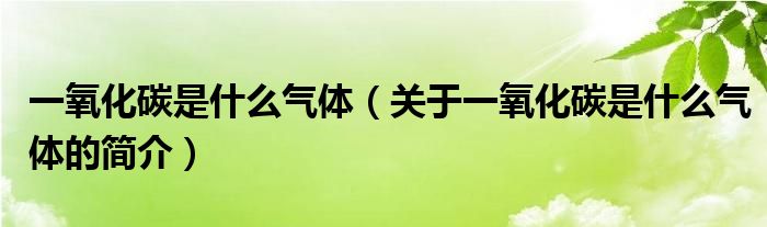 一氧化碳是什么氣體（關(guān)于一氧化碳是什么氣體的簡(jiǎn)介）