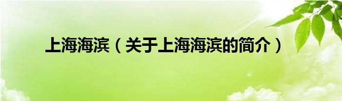 上海海濱（關(guān)于上海海濱的簡(jiǎn)介）