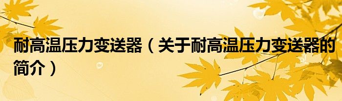 耐高溫壓力變送器（關(guān)于耐高溫壓力變送器的簡(jiǎn)介）