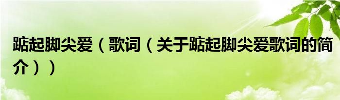 踮起腳尖愛（歌詞（關于踮起腳尖愛歌詞的簡介））