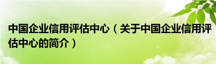 中國企業(yè)信用評估中心（關于中國企業(yè)信用評估中心的簡介）